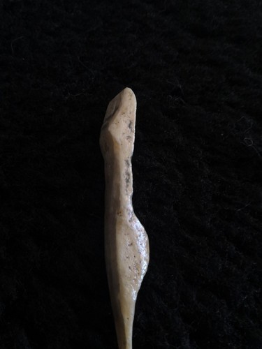 Venusfigur von nebra - von,