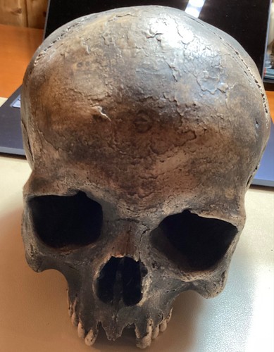 Schädel totenkopf replika - schädel,