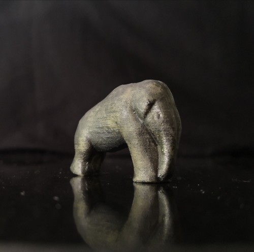 Das mammut vom vogelherd - das,
